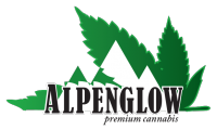 Vendor Image